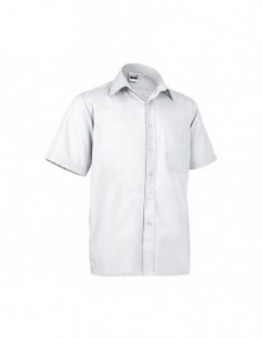 CAMISOPORTO 2