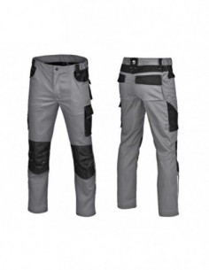 PANT539 2